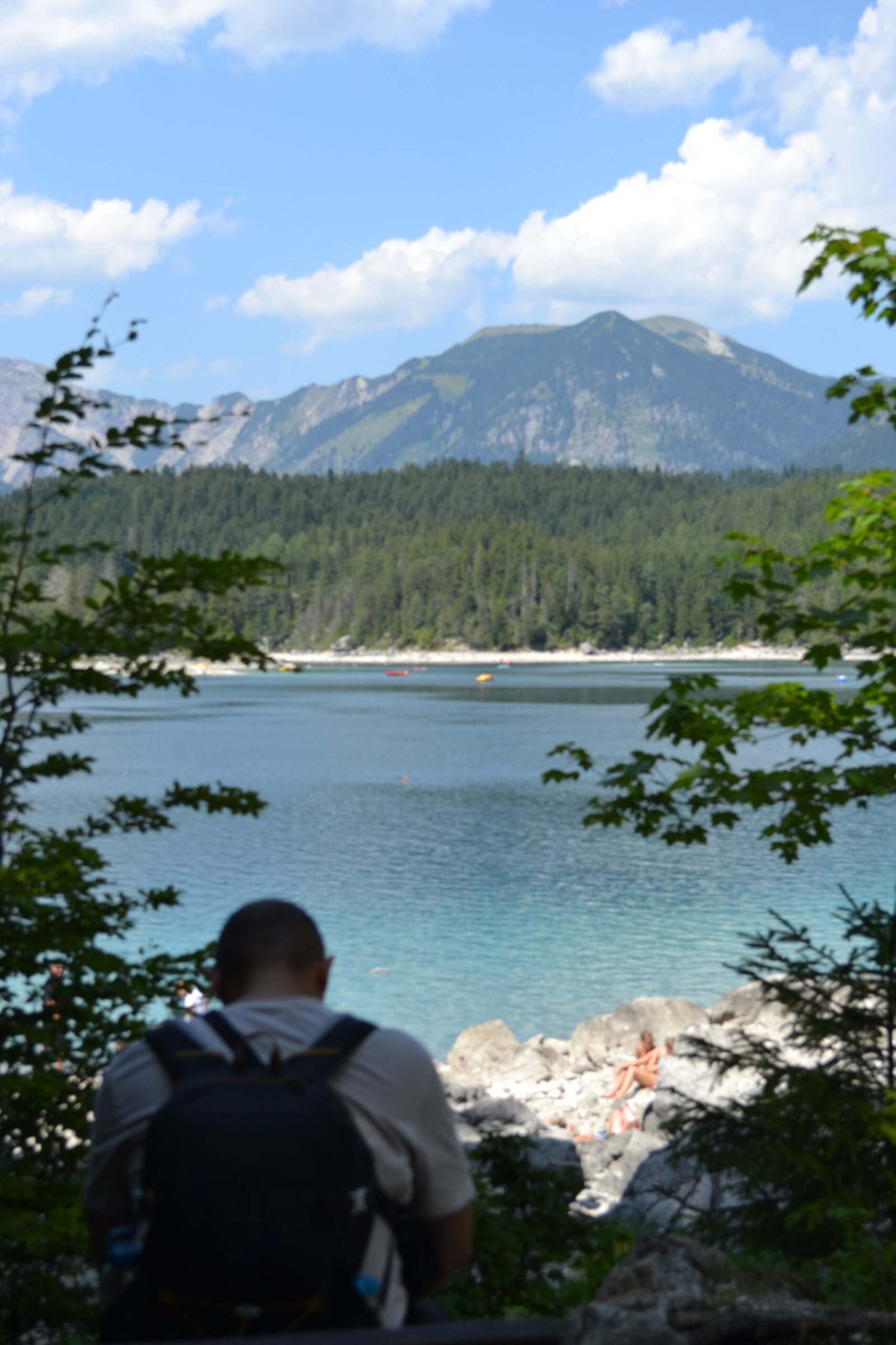 A walker approaching Eibsee through the trees